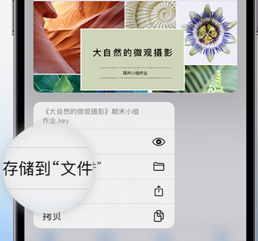 北辰apple维修中心分享iPhone文件应用中存储和找到下载文件