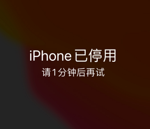 北辰苹果手机维修分享:iPhone 显示“不可用”或“已停用”怎么办？还能保留数据吗？ 