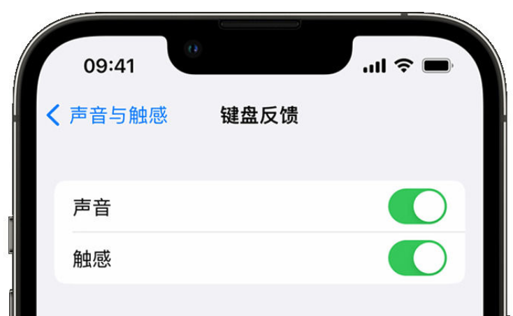 北辰苹果手机维修分享iPhone 14触感键盘使用方法 