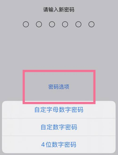 北辰苹果14维修分享iPhone 14plus设置密码的方法 