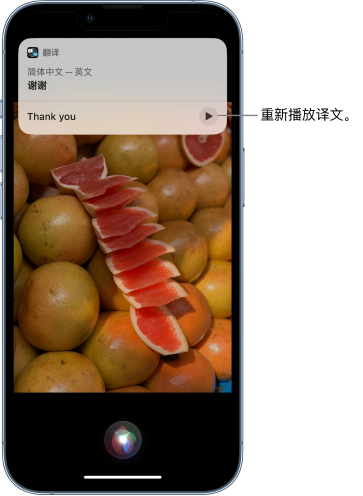 北辰苹果14维修分享 iPhone 14 机型中使用 Siri：了解 Siri 能帮你做什么 