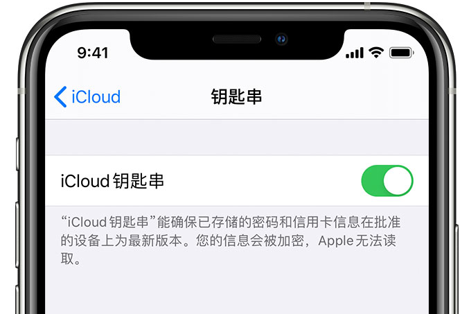 北辰苹果手机维修分享在 iPhone 上开启 iCloud 钥匙串之后会储存哪些信息 