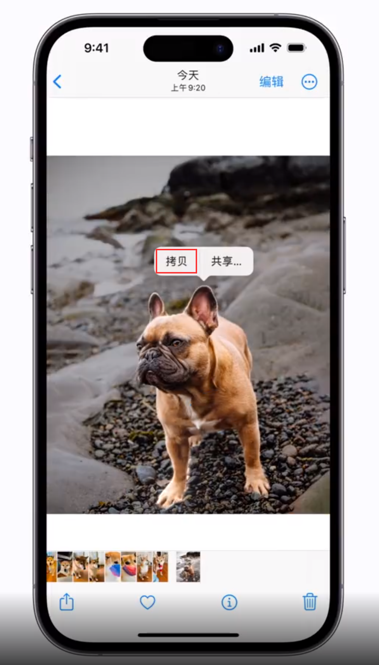 北辰苹果手机维修分享 iOS 16 自带一键抠图功能 