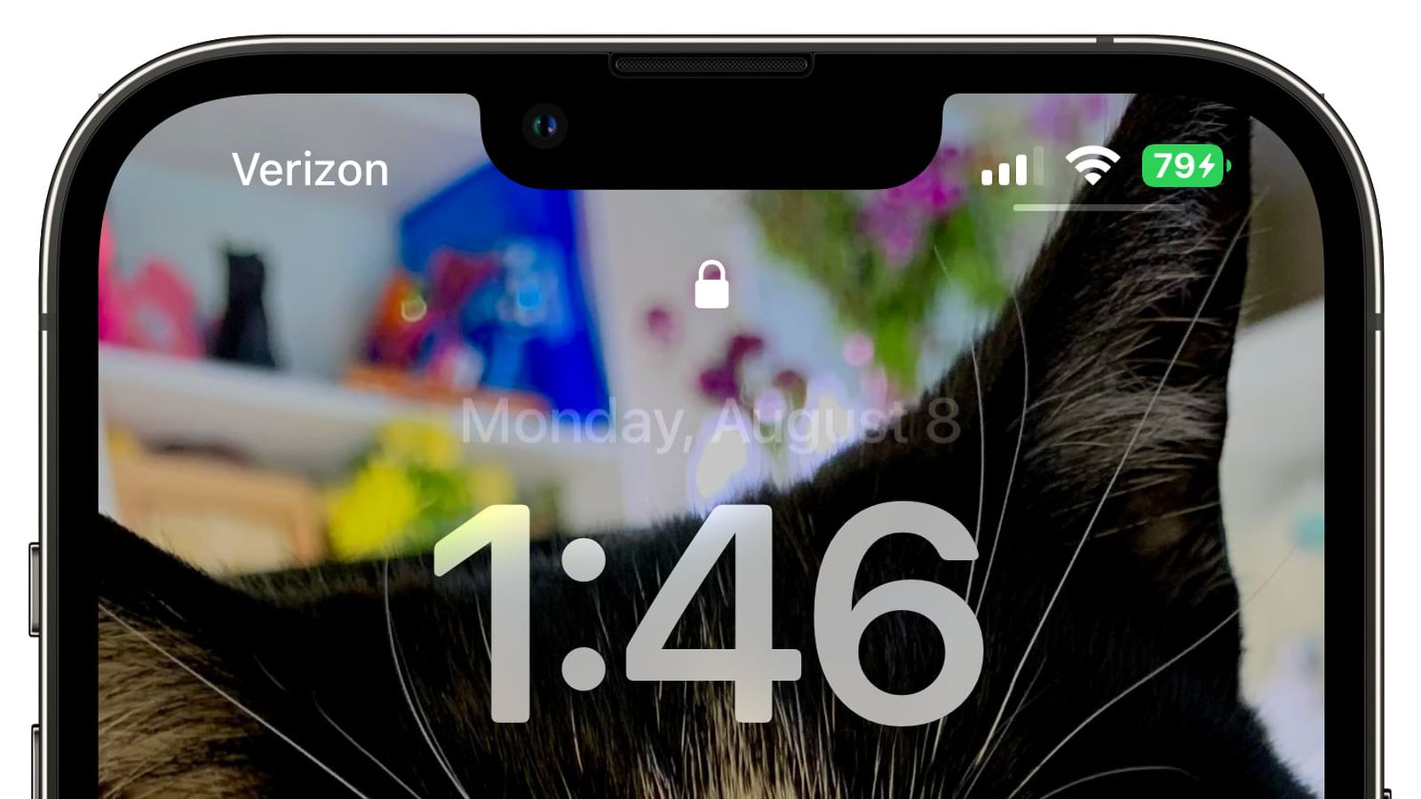 北辰苹果手机维修分享iOS 16 beta 5 支持状态栏显示电池百分比，如何开启？支持哪些机型 