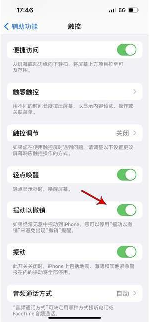 北辰苹果手机维修分享iPhone手机如何设置摇一摇删除文字 