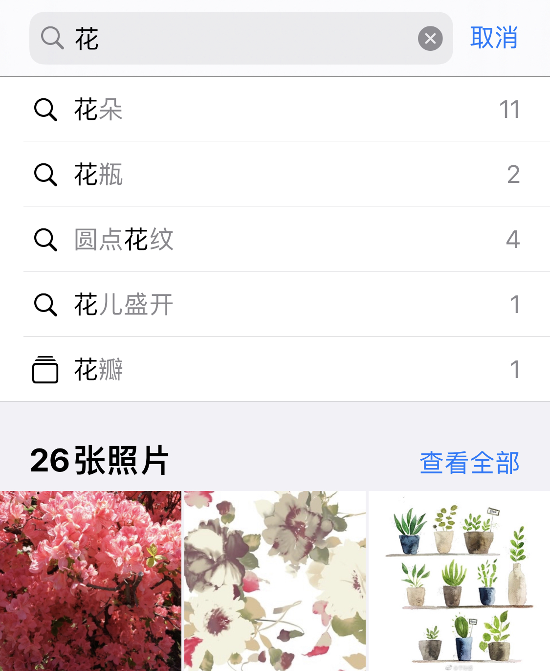 北辰苹果手机维修分享iPhone 小技巧 