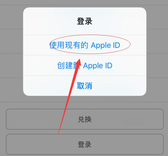 北辰苹果手机维修分享两台iPhone设备可以同时登录一个Apple ID吗 