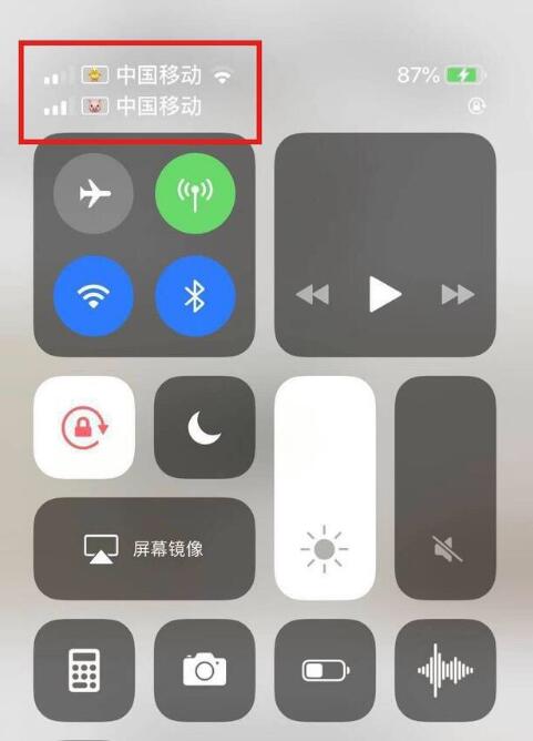 北辰苹果手机维修分享为 iPhone 12 双卡设置标签 